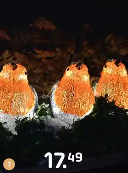 Coppelmans LED acryl vogels aanbieding