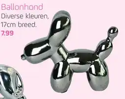 Coppelmans Ballonhond aanbieding