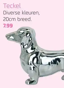 Coppelmans Teckel aanbieding