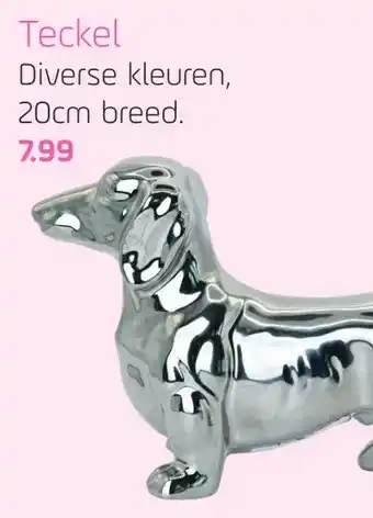 Coppelmans Teckel aanbieding