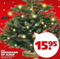 Ranzijn Nordmann op schijf abies nordmanniana aanbieding