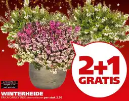 Ranzijn Winterheide aanbieding