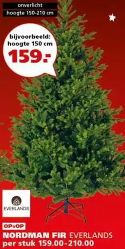 Ranzijn Nordman fir aanbieding