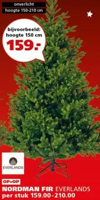 Ranzijn Nordman fir aanbieding