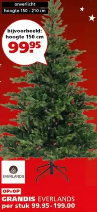 Ranzijn Grandis everlands aanbieding