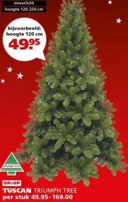Ranzijn Tuscan triumph tree aanbieding