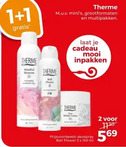 Trekpleister Therme aanbieding