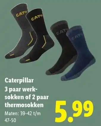 Lidl Caterpillar 3 paar werksokken of 2 paar thermosokken aanbieding
