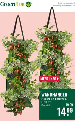 GroenRijk Wandhanger Hedera en bergthee. aanbieding