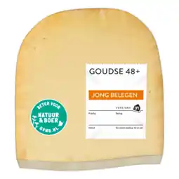 Albert Heijn AH Goudse jong belegen 48+ stuk aanbieding