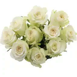 Albert Heijn AH Roos wit aanbieding