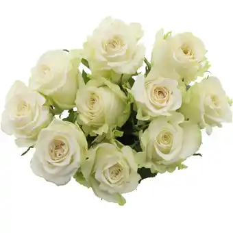 Albert Heijn AH Roos wit aanbieding