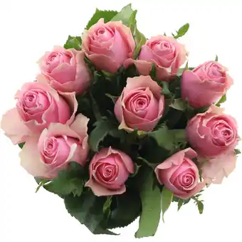 Albert Heijn AH Roos roze aanbieding