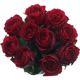 Albert Heijn AH Roos rood aanbieding