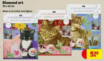 Kruidvat Diamond art aanbieding
