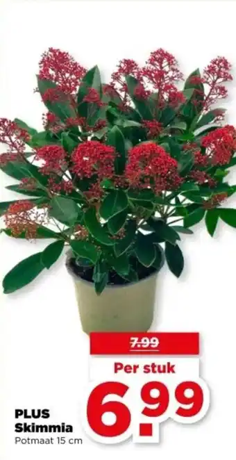 PLUS PLUS Skimmia aanbieding