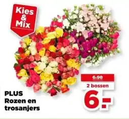 PLUS PLUS Rozen en trosanjers aanbieding