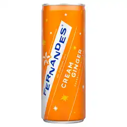 PLUS Fernandes Cream ginger aanbieding