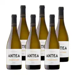 PLUS Marqués de Cáceres Antea Barrel Ferment aanbieding