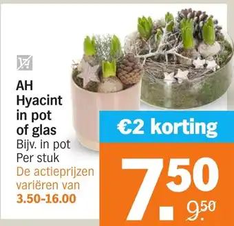 Albert Heijn AH Hyacint in pot of glas aanbieding
