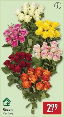 ALDI Rozen aanbieding