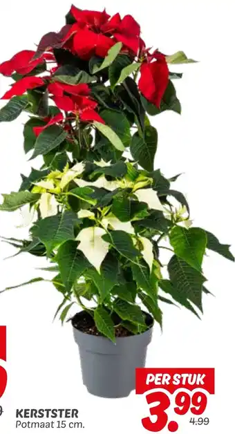 Dekamarkt Kerstster aanbieding