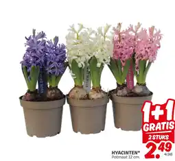 Dekamarkt Hyacinten aanbieding
