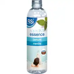 Bol.com BSI - Aqua Pur Essence Ijsmunt - Zwembad - Geuressence voor in uw Spa of Bubbelbad - 250 ml aanbieding