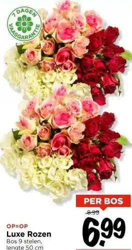 Vomar Voordeelmarkt Luxe Rozen aanbieding