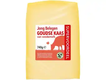 Hoogvliet Jong belegen 48+ stuk aanbieding