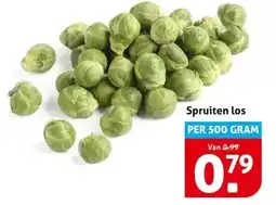 Hoogvliet Spruiten los aanbieding