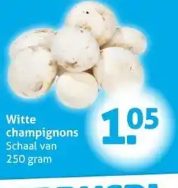 Hoogvliet Witte champignons aanbieding