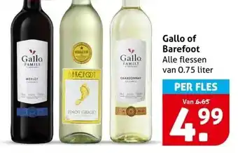 Hoogvliet Gallo of Barefoot aanbieding