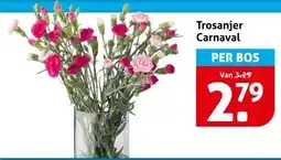 Hoogvliet Trosanjer Carnaval aanbieding