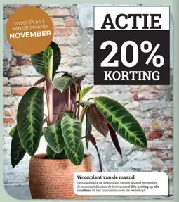 Tuincentrum Osdorp Woonplant van de maand aanbieding