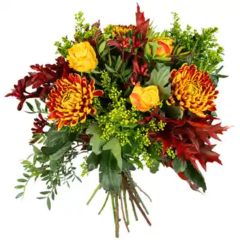 Dekamarkt DekaMarkt Boeket vier t seizoen herfst aanbieding