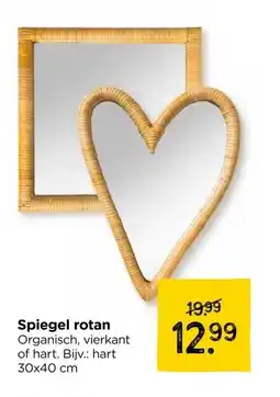 Xenos Spiegel rotan aanbieding