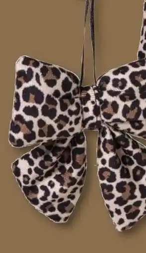 Xenos klein aanbieding