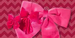 Xenos klein aanbieding