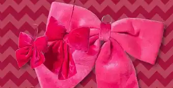 Xenos klein aanbieding