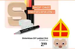 Xenos DIY surprisepakket - sinterklaas aanbieding