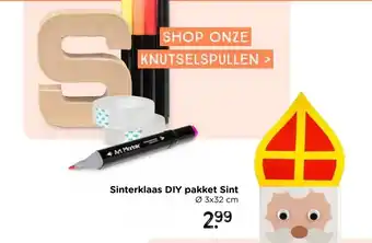 Xenos DIY surprisepakket - sinterklaas aanbieding