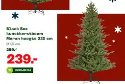 Welkoop Black Box kunstkerstboom Meran hoogte 230 cm aanbieding