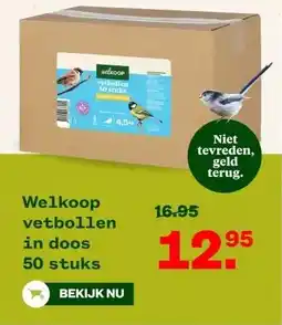 Welkoop Welkoop vetbollenin doos aanbieding