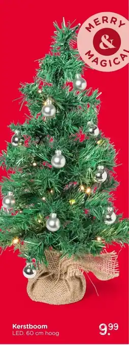 Xenos Kerstboom aanbieding