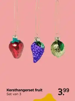 Xenos Kersthangerset fruit aanbieding