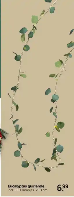 Xenos Eucalyptus guirlande aanbieding