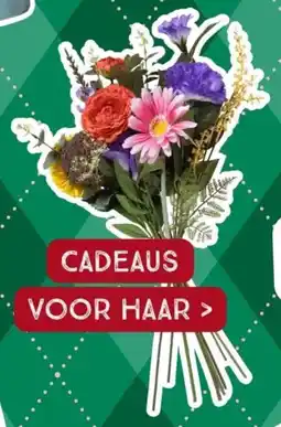 Xenos Cadeaus aanbieding
