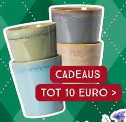 Xenos Cadeaus aanbieding