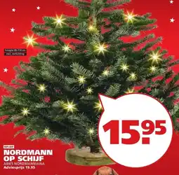 Ranzijn NORDMANN OP SCHIJF ABIES NORDMANNIANA aanbieding